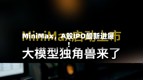 MiniMax，A股IPO最新进展！-第2张图片