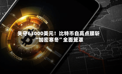 失守63000美元！比特币自高点腰斩 “加密寒冬”全面笼罩-第3张图片