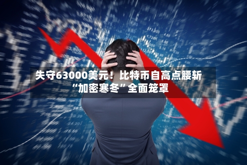 失守63000美元！比特币自高点腰斩 “加密寒冬	”全面笼罩-第2张图片