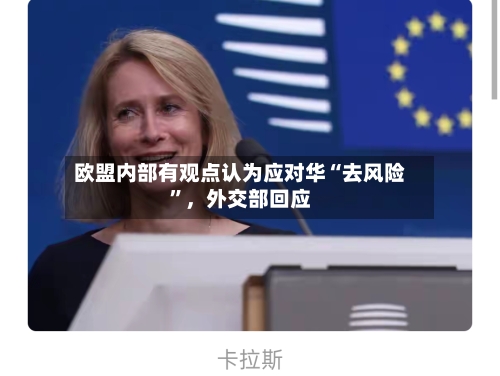 欧盟内部有观点认为应对华“去风险”，外交部回应-第2张图片