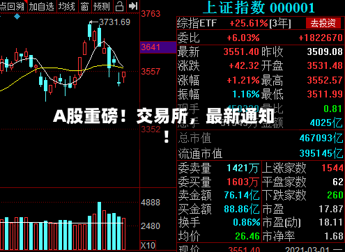 A股重磅！交易所，最新通知！-第3张图片