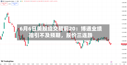 6月6日美股成交额前20：博通业绩指引不及预期，股价三连跌-第3张图片