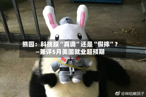 熊园：科技股“真调”还是“假摔	”？—兼评5月美国就业超预期-第2张图片