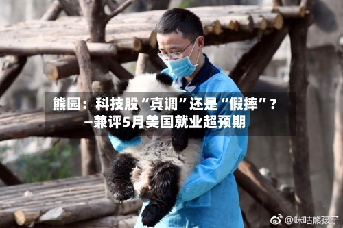 熊园：科技股“真调”还是“假摔”？—兼评5月美国就业超预期-第3张图片