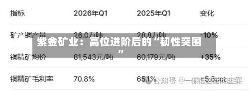 紫金矿业：高位进阶后的“韧性突围”-第2张图片