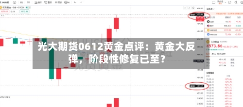 光大期货0612黄金点评：黄金大反弹	，阶段性修复已至？-第3张图片