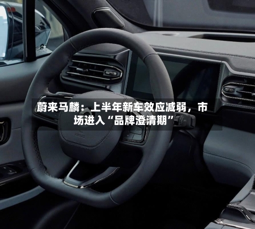 蔚来马麟：上半年新车效应减弱，市场进入“品牌澄清期”-第3张图片