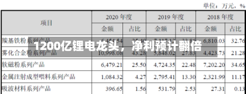 1200亿锂电龙头	，净利预计翻倍-第3张图片