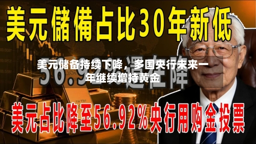 美元储备持续下降，多国央行未来一年继续增持黄金-第2张图片