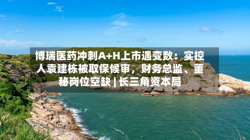 博瑞医药冲刺A+H上市遇变数：实控人袁建栋被取保候审，财务总监	、董秘岗位空缺 | 长三角资本局-第3张图片
