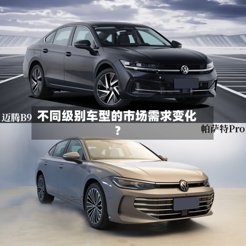 不同级别车型的市场需求变化?-第2张图片