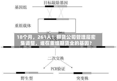 18个月，261人！期货公司管理层密集调整	，谁在重组期货业的基因？-第2张图片