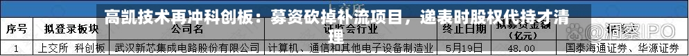 高凯技术再冲科创板：募资砍掉补流项目，递表时股权代持才清理-第2张图片