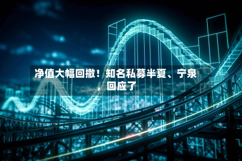 净值大幅回撤！知名私募半夏、宁泉，回应了-第2张图片