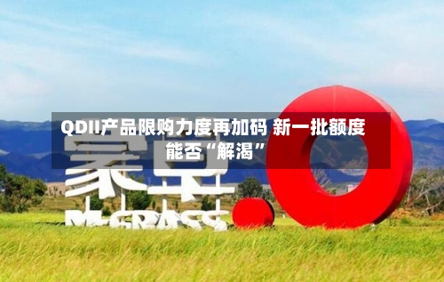 QDII产品限购力度再加码 新一批额度能否“解渴”-第3张图片