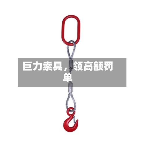 巨力索具，领高额罚单-第2张图片