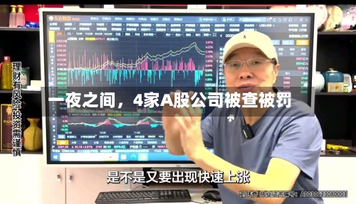 一夜之间	，4家A股公司被查被罚-第2张图片