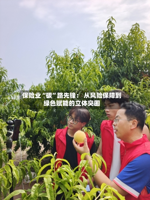 保险业“碳”路先锋： 从风险保障到绿色赋能的立体突围-第3张图片