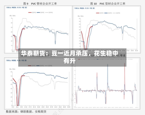 华泰期货：豆一近月承压，花生稳中有升-第2张图片