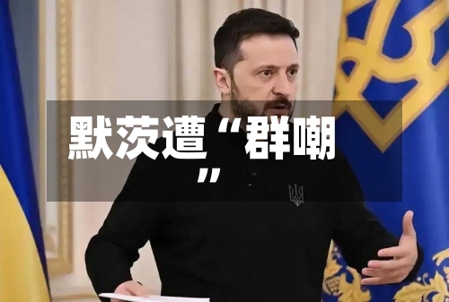 默茨遭“群嘲”-第2张图片