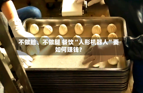 不做脸	、不做腿 餐饮“人形机器人”要如何赚钱？-第3张图片