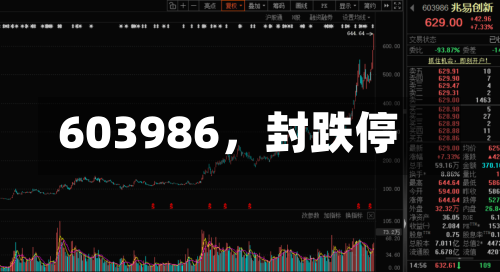 603986，封跌停