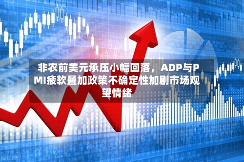 非农前美元承压小幅回落，ADP与PMI疲软叠加政策不确定性加剧市场观望情绪-第3张图片