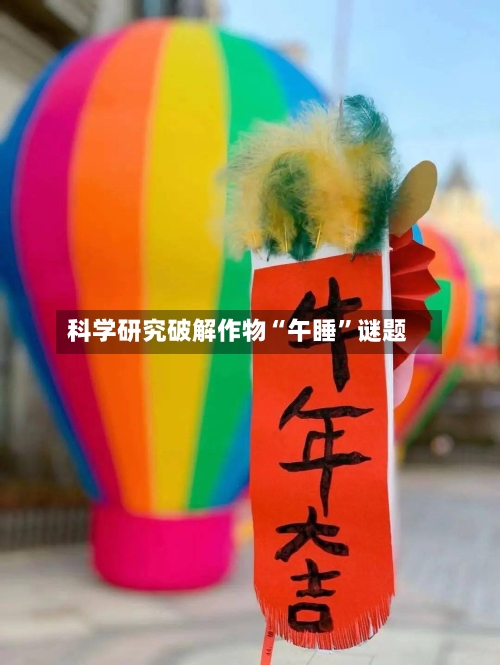 科学研究破解作物“午睡”谜题-第2张图片