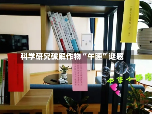 科学研究破解作物“午睡”谜题-第3张图片