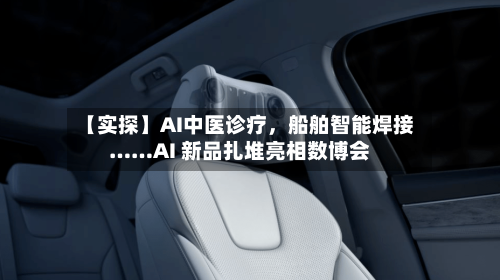 【实探】AI中医诊疗	，船舶智能焊接……AI 新品扎堆亮相数博会-第2张图片