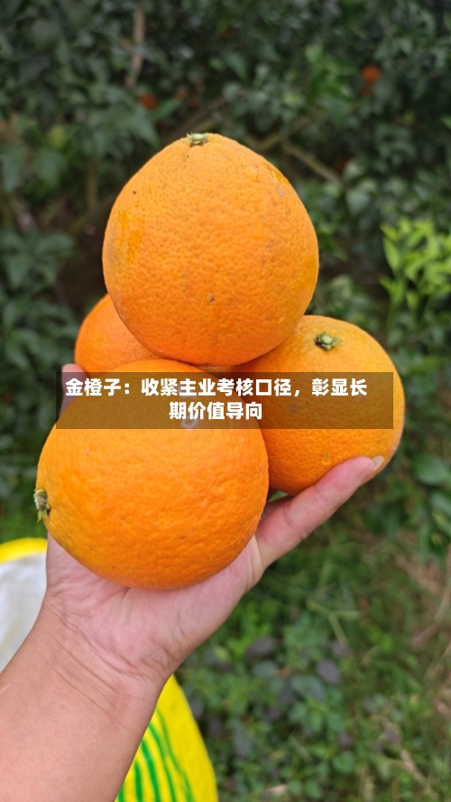 金橙子：收紧主业考核口径	，彰显长期价值导向-第2张图片