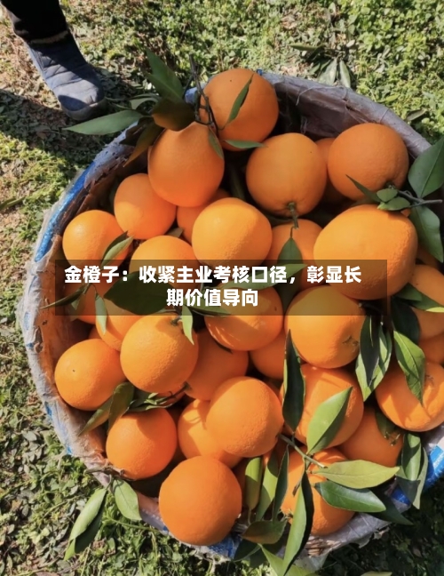 金橙子：收紧主业考核口径，彰显长期价值导向-第3张图片
