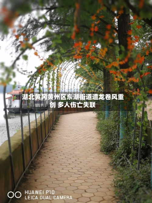 湖北黄冈黄州区东湖街道遭龙卷风重创 多人伤亡失联-第2张图片