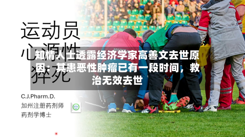 知情人士透露经济学家高善文去世原因：其患恶性肿瘤已有一段时间，救治无效去世-第2张图片