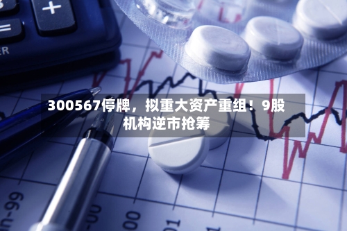 300567停牌，拟重大资产重组！9股机构逆市抢筹-第2张图片