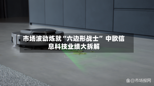 市场波动炼就“六边形战士” 中欧信息科技业绩大拆解-第2张图片
