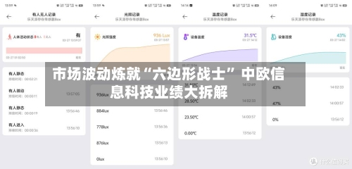 市场波动炼就“六边形战士” 中欧信息科技业绩大拆解-第3张图片