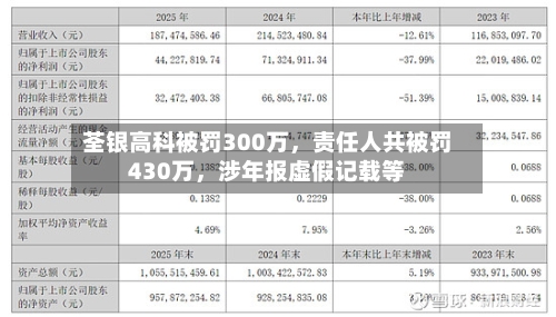 荃银高科被罚300万，责任人共被罚430万，涉年报虚假记载等-第1张图片