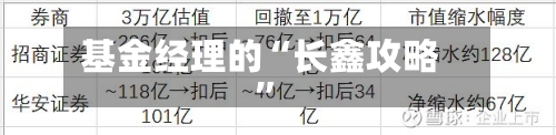 基金经理的“长鑫攻略	”-第3张图片