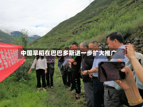 中国旱稻在巴巴多斯进一步扩大推广