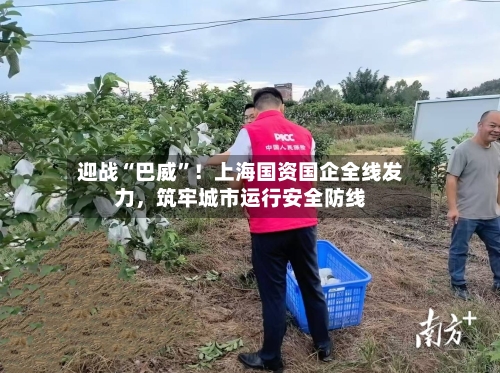 迎战“巴威”！上海国资国企全线发力，筑牢城市运行安全防线