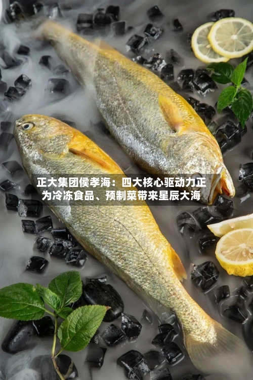 正大集团侯孝海:四大核心驱动力正为冷冻食品、预制菜带来星辰大海