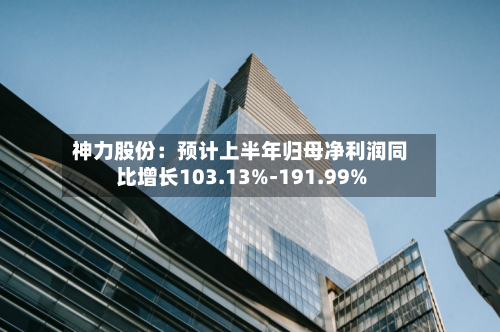 神力股份:预计上半年归母净利润同比增长103.13%-191.99%-第2张图片