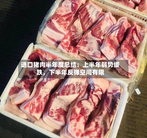 进口猪肉半年度总结：上半年弱势缓跌，下半年反弹空间有限-第2张图片