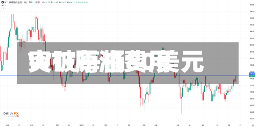 WTI原油费用突破每桶80美元