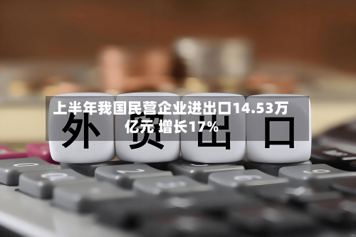 上半年我国民营企业进出口14.53万亿元 增长17%-第2张图片