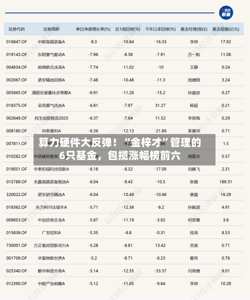 算力硬件大反弹!“金梓才”管理的6只基金,包揽涨幅榜前六