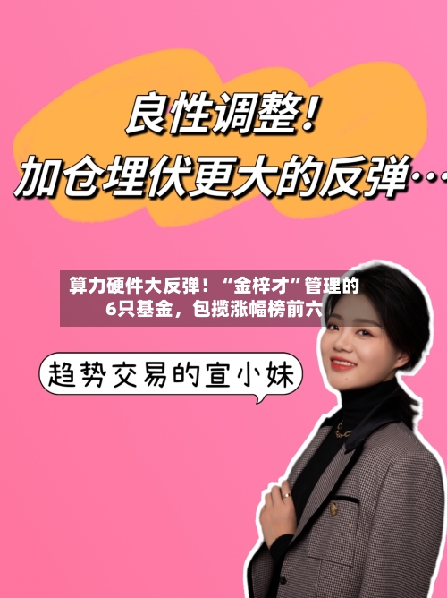 算力硬件大反弹！“金梓才”管理的6只基金，包揽涨幅榜前六-第2张图片