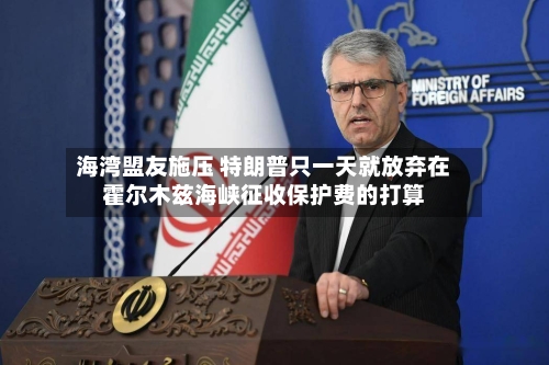 海湾盟友施压 特朗普只一天就放弃在霍尔木兹海峡征收保护费的打算-第2张图片
