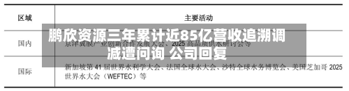 鹏欣资源三年累计近85亿营收追溯调减遭问询 公司回复-第3张图片